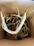 Box of Antlers