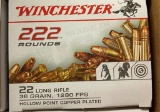 222rds Winchester 22lr