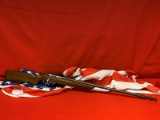 Remington 510, 22mag Rifle, 272