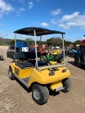 Cat Gas Golf Cart /utility cart