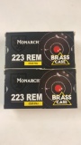 20rds Monarch 223 Rem 55gr FMJ Brass