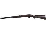 Stevens 887 Rifle 22LR SN#D370066