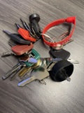 Set of 24 Equipment Keys