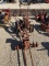 David Bradley Push Tractor