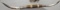 Set of Horns (Approx. 76