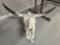 Cattle Skull