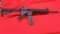 Smith & Wesson M&P 15-22 Rifle 22LR SN#DVE7944