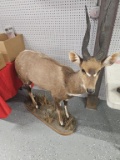 Full-Size Bushbok Mount with Base