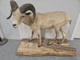 Full-Size Ram with Base