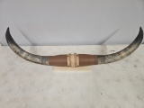 Set of Horns (Approx. 36