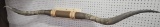 Set of Horns (Approx. 76