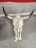 Cattle Skull