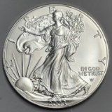 2023 American Silver Eagle 1oz Silver