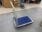 NEW Rolling Flat Cart