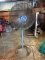 Patton Shop Fan