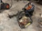 Stihl BT130 Auger w/Extra Main Unit