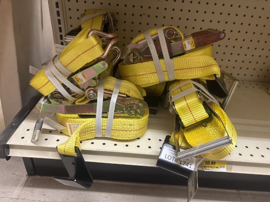 NEW 10pc Ratchet Tie Down