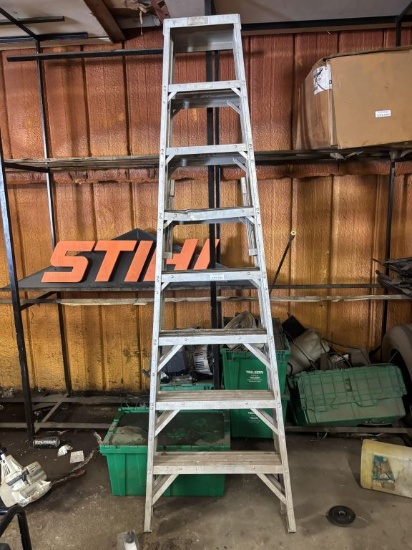 Aluminum 10' Ladder