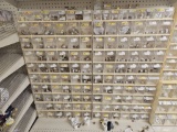 Section of NEW Assorted Plumbing Fittings