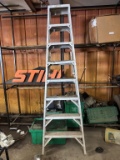 Aluminum 10' Ladder