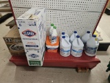 Shelf Lot of Cleaning and Pool Chemicals