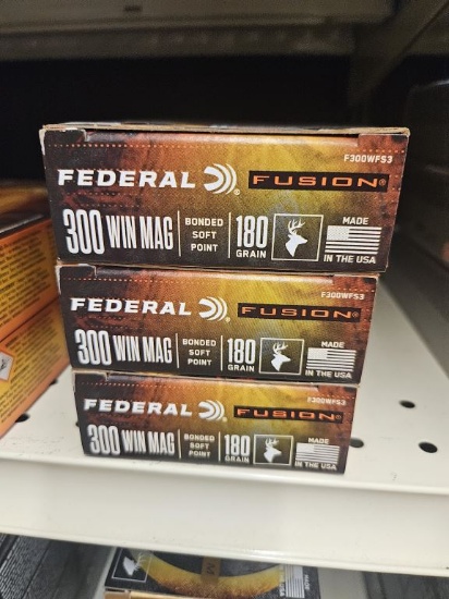 20rds Federal Fusion 300 Win Mag 180gr BSP