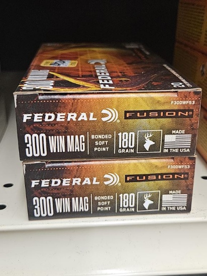 20rds Federal Fusion 300 Win Mag 180gr BSP