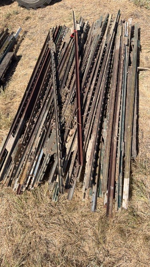 50+\- Used Fencing T-Posts