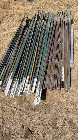 50+\- Used Fencing T-Posts