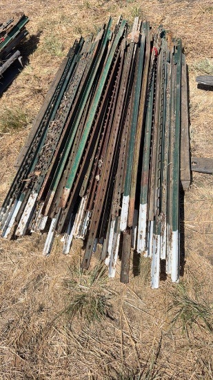 50+\- Used Fencing T-Posts