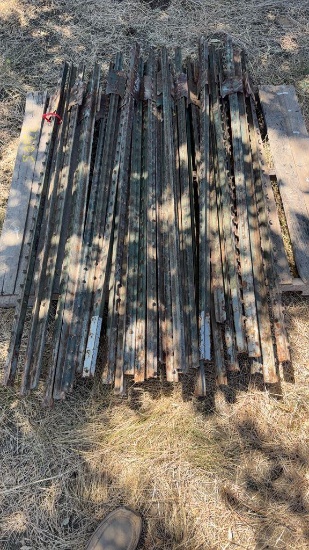 Lot of 25+/- 5' Fencing T-Posts