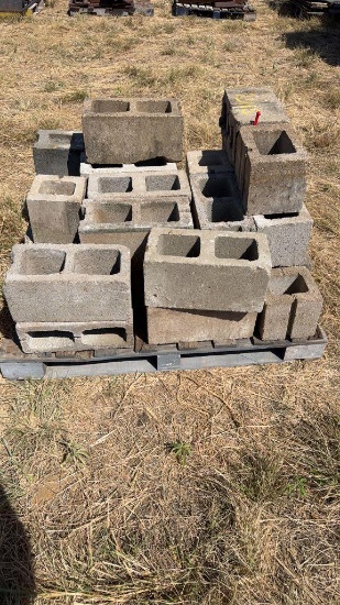 Pallet of Cement Bricks