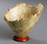 Box elder burl with Amboyna natural edge bowl