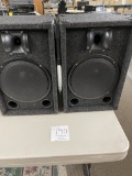 Black Felt Speakers, Pair, 11