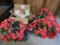 Three poinsettia baskets, box of Christmas decorations