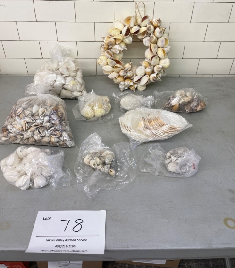 Seashell wreath 12" across and bags of various sea shells