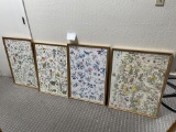 Four framed wildflower prints