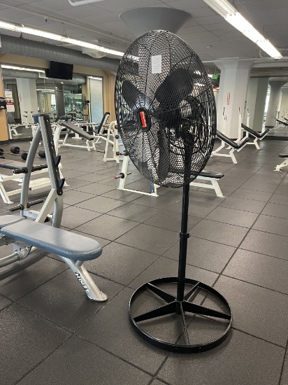 Dayton Floor Pole Fan