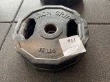 Iron Grip weights  Qty 2 -  25 lbs weights