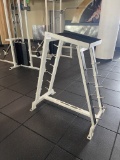 Body Masters weight stand