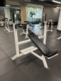 Flex Olympic bench for weight lifting