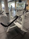 Flex Olympic bench for weight lifting