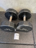 24HR Fitness Iron Grip dumbbells -50 lbs