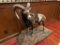 Mouflon Ram Mount