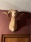 Texas Dall Sheep Mount