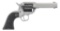 Ruger Wrangler Silver 22LR Revolver