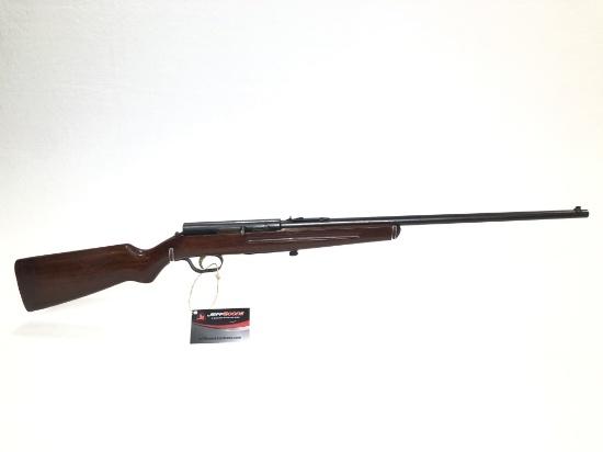 Ranger 22 LR Semi Auto Rifle