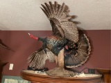 Flying Turkey Mount