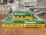 60 RDS. Remington 300 WIN. MAG. 150Gr & 180Gr