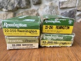 Approx. 80RDS. 22-250 Remington
